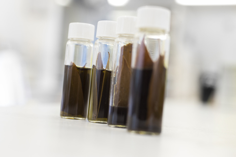 We could grow jet fuel on gum trees — if there's anywhere left to plant them We could grow jet fuel on gum trees — if there's anywhere left to plant them