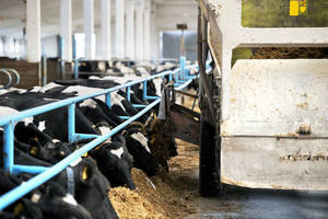 FAO tackles antimicrobial resistance FAO tackles antimicrobial resistance