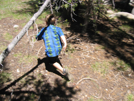 Leukaemia cells run but don&#39;t hide