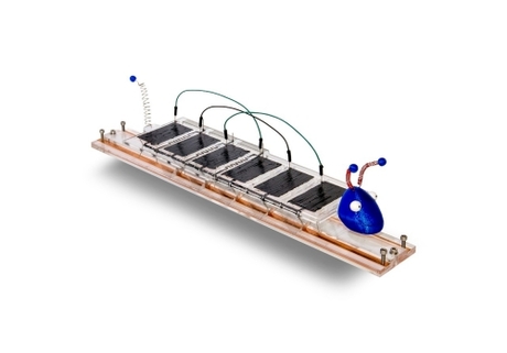 Meet Trevor, the biomimetic caterpillar