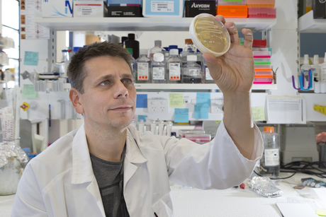 Essential enzymes for DNA repair