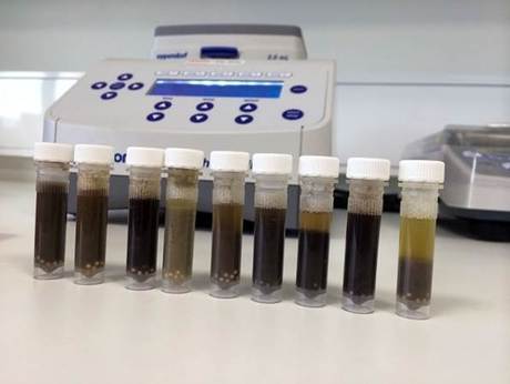 Identifying pest poo