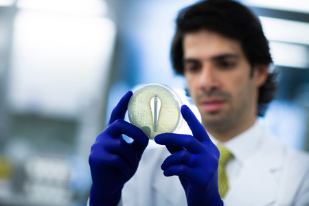 Phantom Superbug in Middle East Could Spread Worldwide