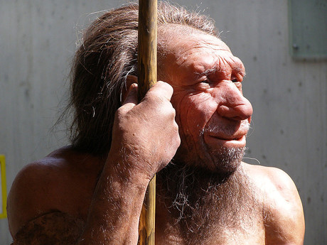 How much Neanderthal DNA is in modern humans?