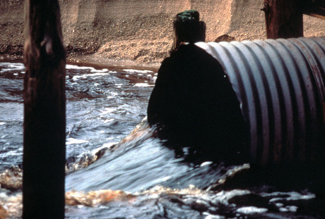 What's in our stormwater? What's in our stormwater?