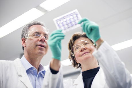 Breast cancer researchers top biomedical research awards Breast cancer researchers top biomedical research awards