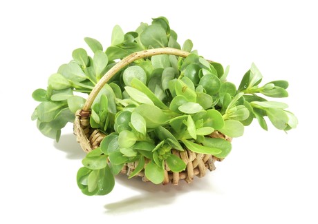 Plant extracts found to mimic insulin