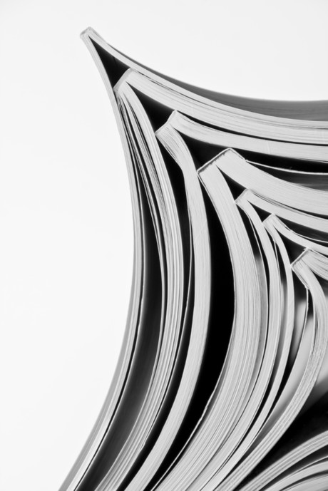 RSM drafts Spectrum Outlook for NZ industry appraisal