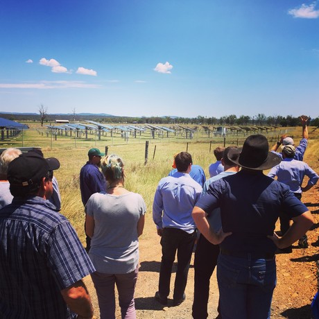 Transitioning tariffs in agriculture Transitioning tariffs in agriculture