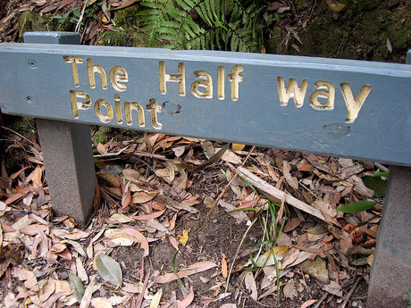 NBN to be 50% complete by mid-year