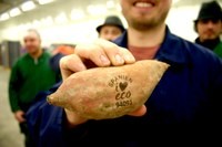 ICA to save 217 km of plastic foil by laser marking its organic avocados