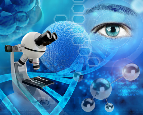 US branch of CSIRO to open in 2017