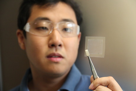 Turning soybeans into graphene Turning soybeans into graphene