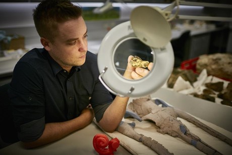 Baleen whales have always been good listeners