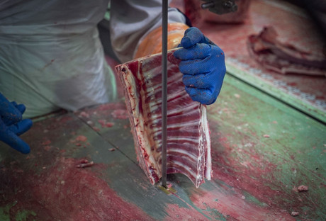 AUSPACK 2017 Processing Day to showcase meat processing technology