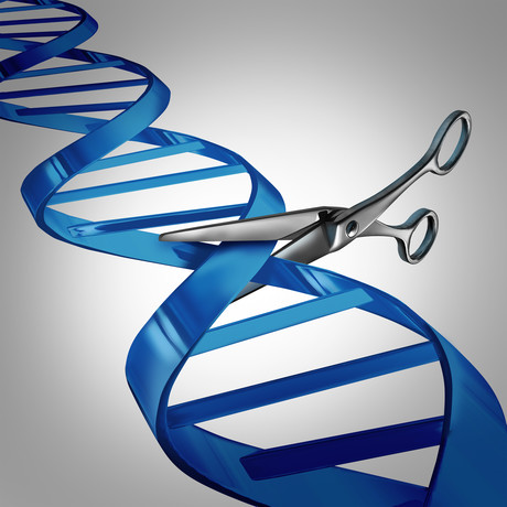 The battle for CRISPR/Cas9 gene-editing technology: what patent applicants need to know