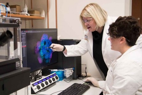 &#39;Mini-guts&#39; offer clues to paediatric GI illness