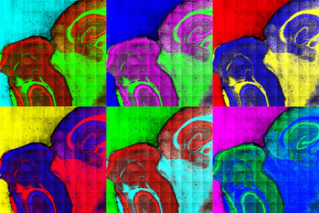 A chemical map of cancer tissue