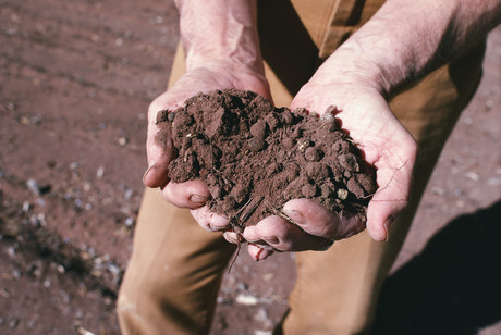 Metal-contaminated soil leads to antibiotic-resistant bacteria