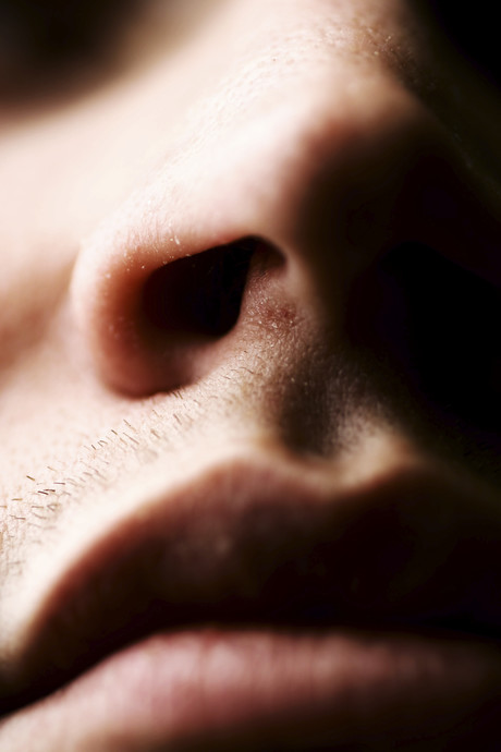 How climate helped shape the human nose