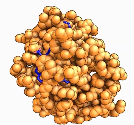 Cancer research turbocharged at the Australian Synchrotron Cancer research turbocharged at the Australian Synchrotron