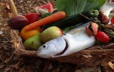 Study finds traditional foods still prevalent in remote NT communities