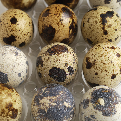 Foodservice providers cleaning up with specialty foods