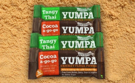 Cricket flour energy bar pack wins sustainability award