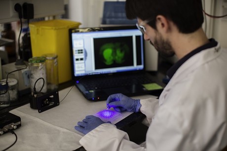 Light-activated drugs for pain treatment Light-activated drugs for pain treatment