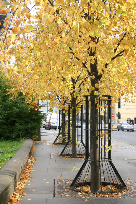 Money can grow on trees