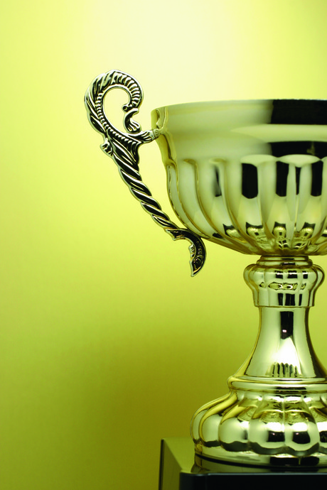 ACS appoints new fellow