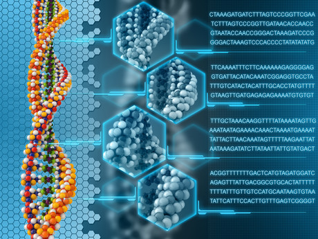 Altering evolution with gene drive technology — what are the risks? Altering evolution with gene drive technology — what are the risks?