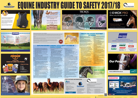 Take the reins and make safety your priority