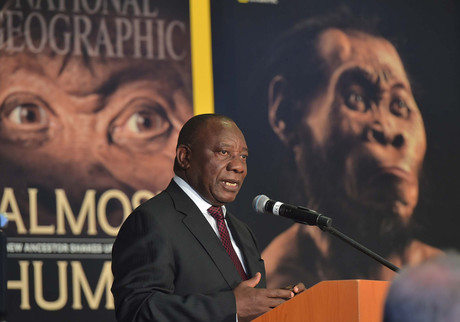 Primitive hominids lived alongside humans, researchers say Primitive hominids lived alongside humans, researchers say