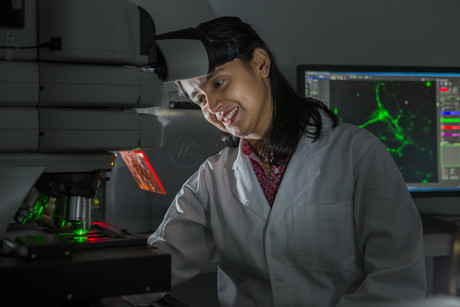 Australian researchers build brain-on-a-chip