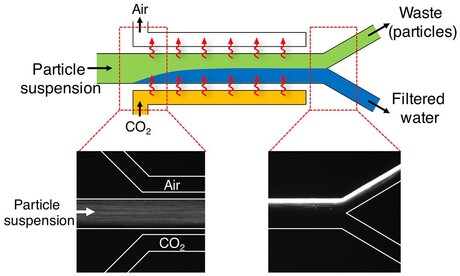 Cleaner water without filtration