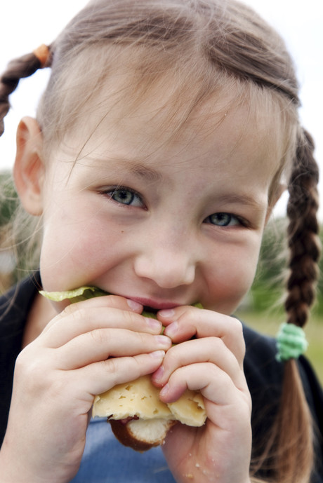 Food brand recognition and obesity risk