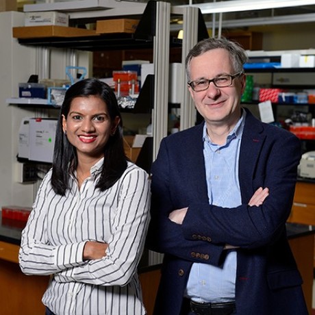 Putting brakes on cancer&#39;s ability to spread