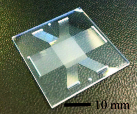 New microchip enables faster DNA separation