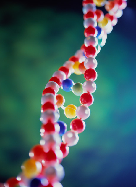 Leading genome sequencing platform comes to Melbourne Leading genome sequencing platform comes to Melbourne