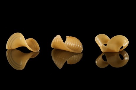 Shape morphing pasta — just add water Shape morphing pasta — just add water