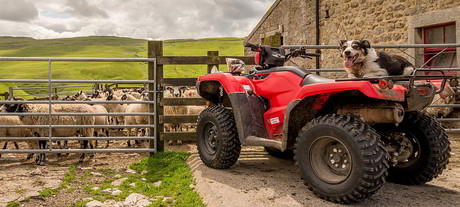 LoRaWAN rolling out for farmers