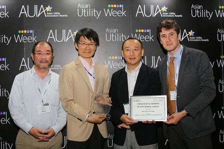 Innovative projects awarded at Asian Utility Week 2017