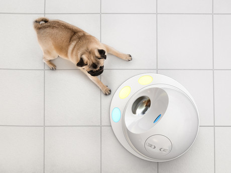 A game console for dogs? A game console for dogs?