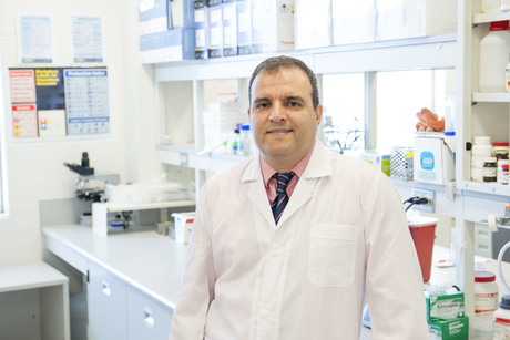 When immune cells turn toxic