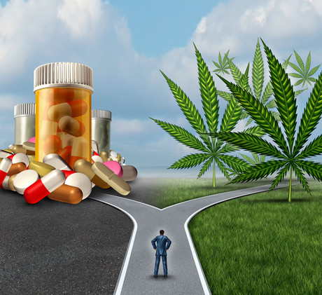 New medical cannabis industry body to position Australia as world leader New medical cannabis industry body to position Australia as world leader