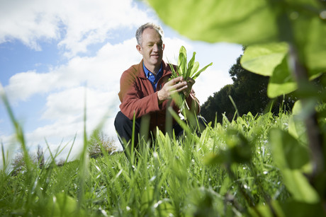 The benefits of carbon sequestration in soil