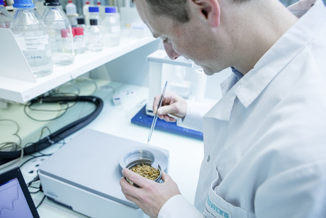 First industrial-scale insect processing plant to be built in Europe