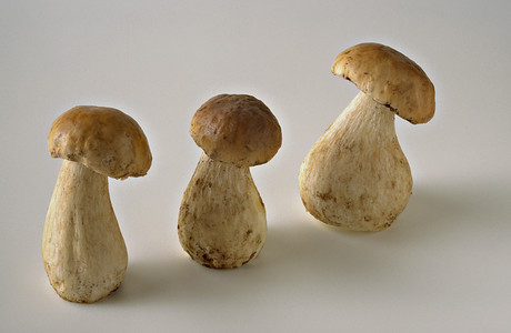 What you can do with 50,000 tonnes of mushroom waste each week