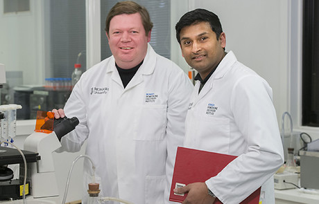 Stem cells show potential for asthma treatment Stem cells show potential for asthma treatment